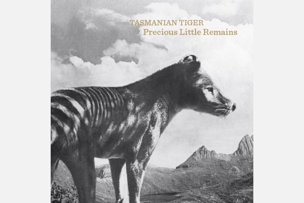 Tasmanian Tiger – Precious Little Remains